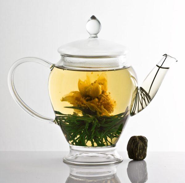 Flowering white tea ball - Camellia Mango