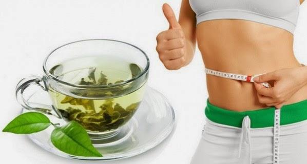 Green tea for weight loss &#8211; the science - Tea Blossoms