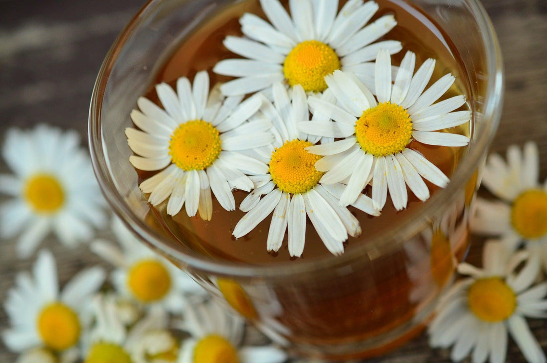 Herbal Tea - Tea Blossoms