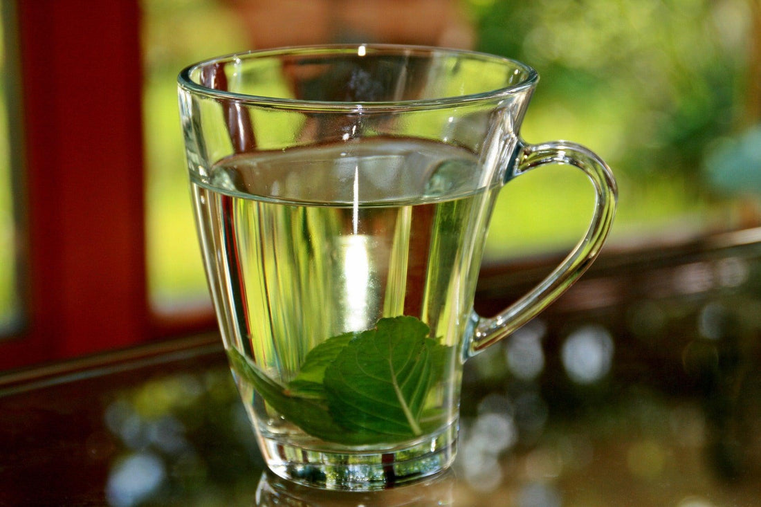 Peppermint Tea And Its Benefits - Tea Blossoms