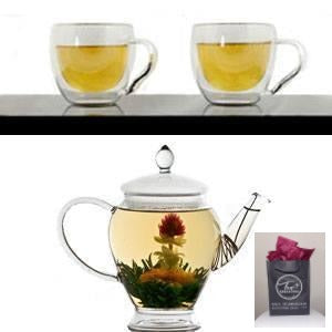 Glass Teapot and Double Wall Glass set
